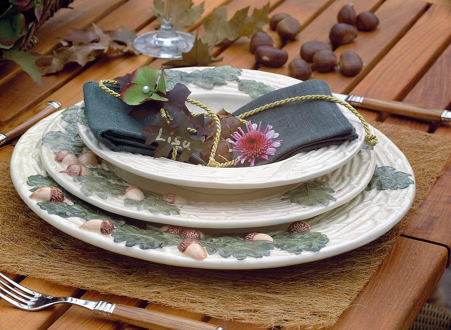 Acorn-patterned Crockery With Napkin Decoration For Autumn Photograph by Strauss, Friedrich