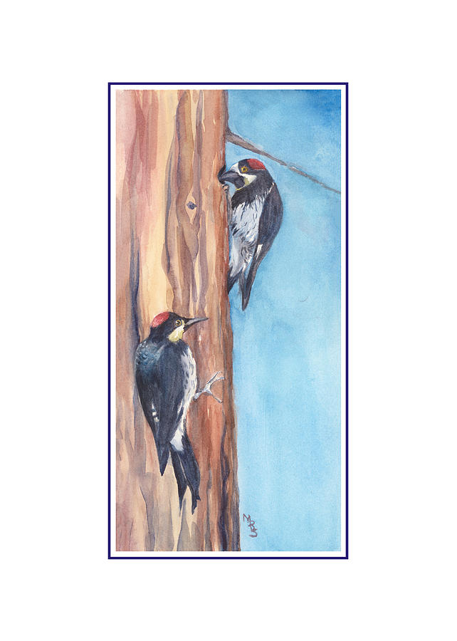acorn woodpecker watercolor painting