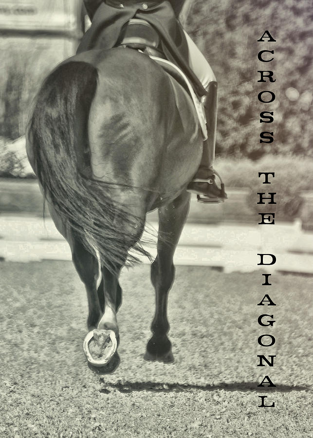 ACROSS THE DIAGONAL quote Photograph by Dressage Design