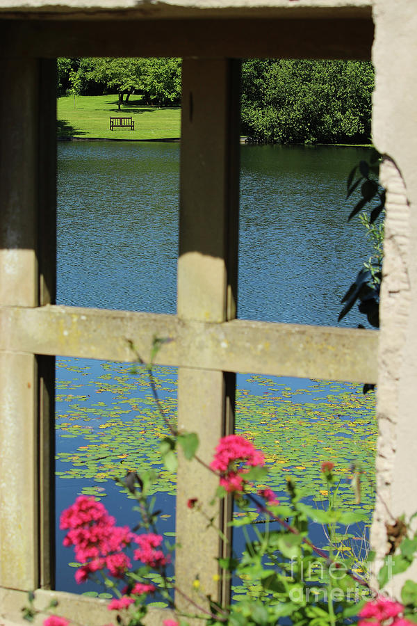 Flower Photograph - Across The Pond Donegal by Eddie Barron