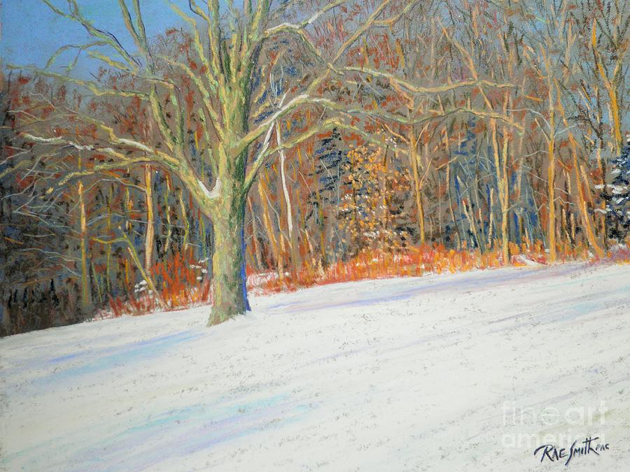 Across the Road  Pastel by Rae  Smith PAC