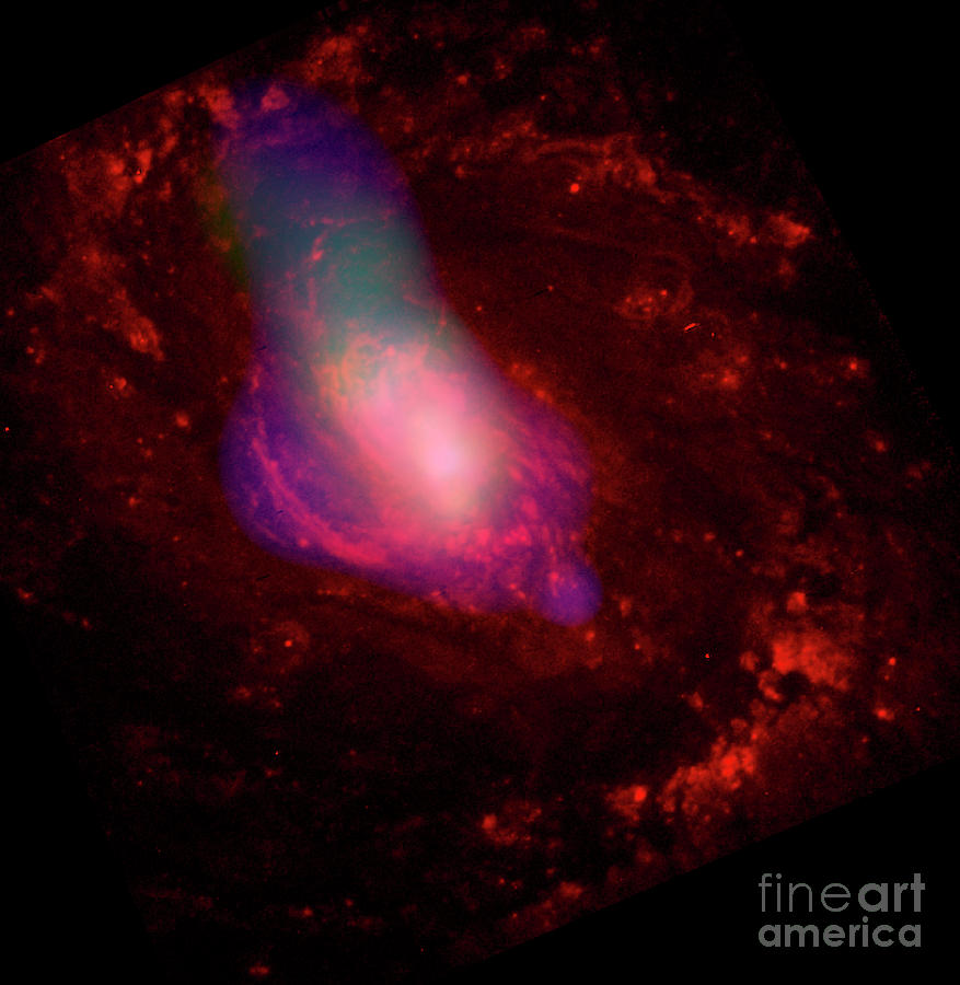 Active Galaxy Ngc 1068 Photograph by Nasa/cxc/mit/ucsb/p.ogle Et Al./science Photo Library