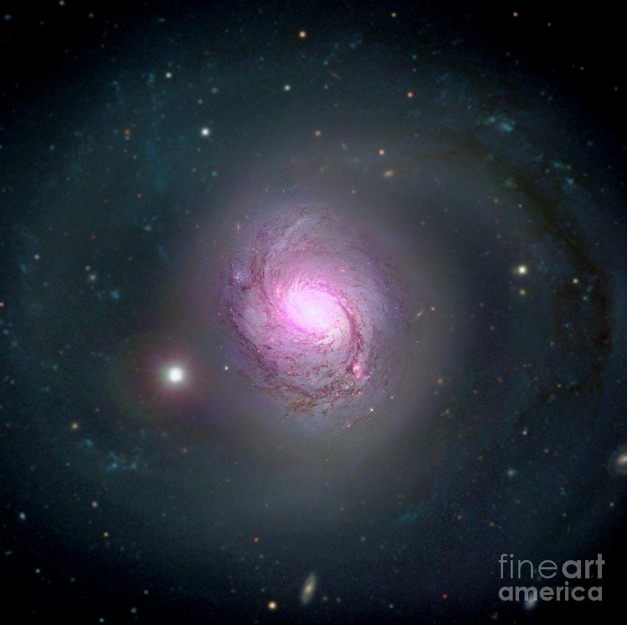 Space Photograph - Active Galaxy Ngc 1068 by Nasa/jpl-caltech/roma Tre University/science Photo Library