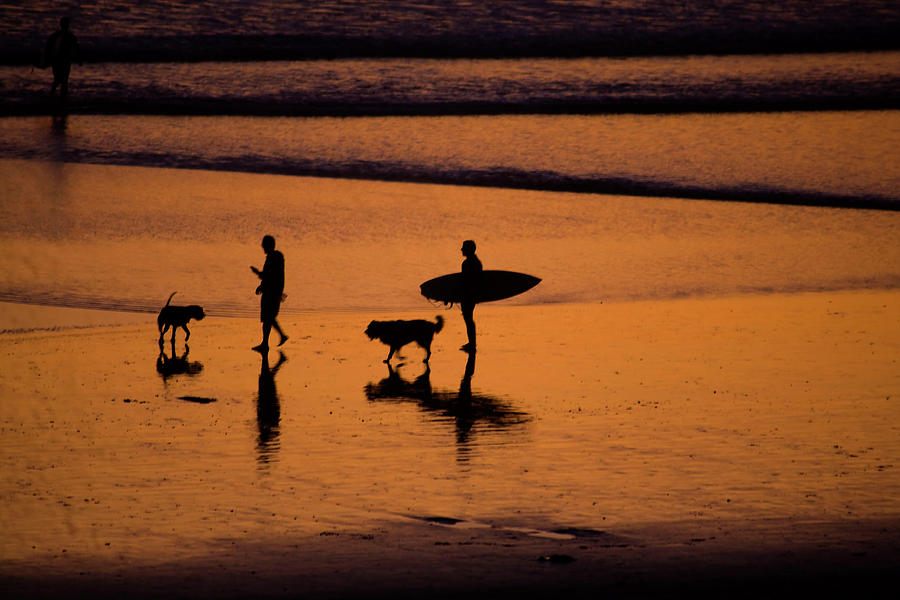 Activities At Sunset Photograph by Mythungoc Photography