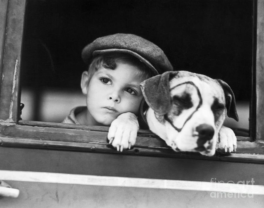 Actor Dickie Moore And Pete The Pup Photograph by Bettmann