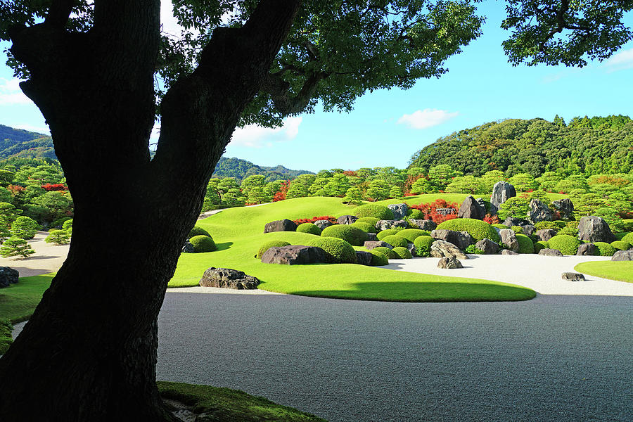 Adachi Japanese Gardens Photograph