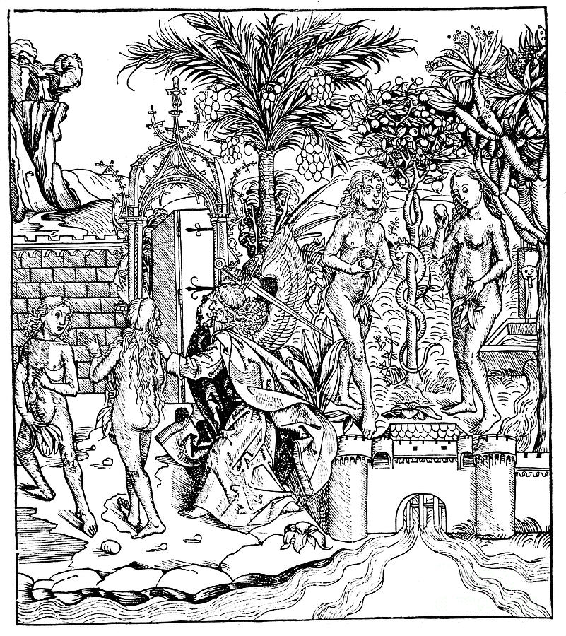 Adam And Eve, 1493 Drawing by Print Collector