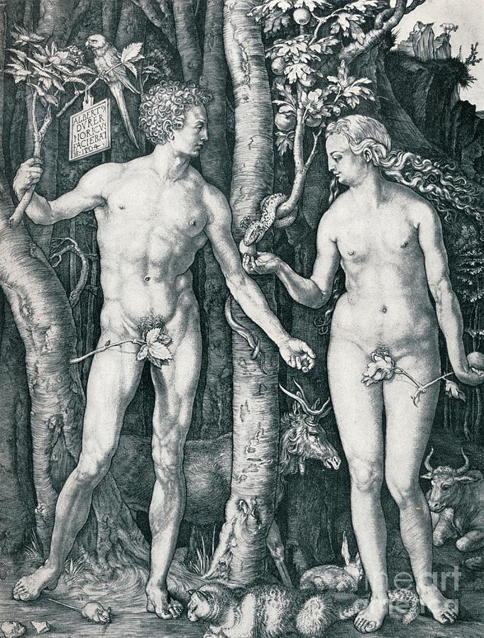 Adam And Eve, 1504 1906. Artist Drawing by Print Collector
