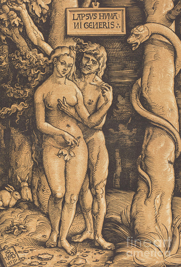 Adam and Eve, 1511 woodcut Drawing by Hans Baldung Grien