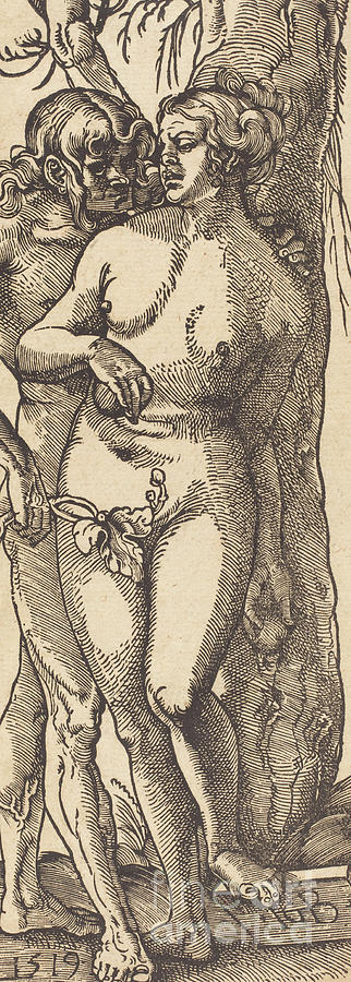 Adam and Eve, 1519 by Grien Drawing by Hans Baldung Grien