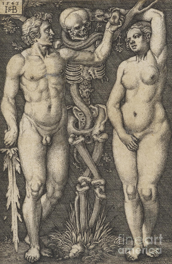 Adam and Eve, 1543 copperplate Drawing by Hans Sebald Beham