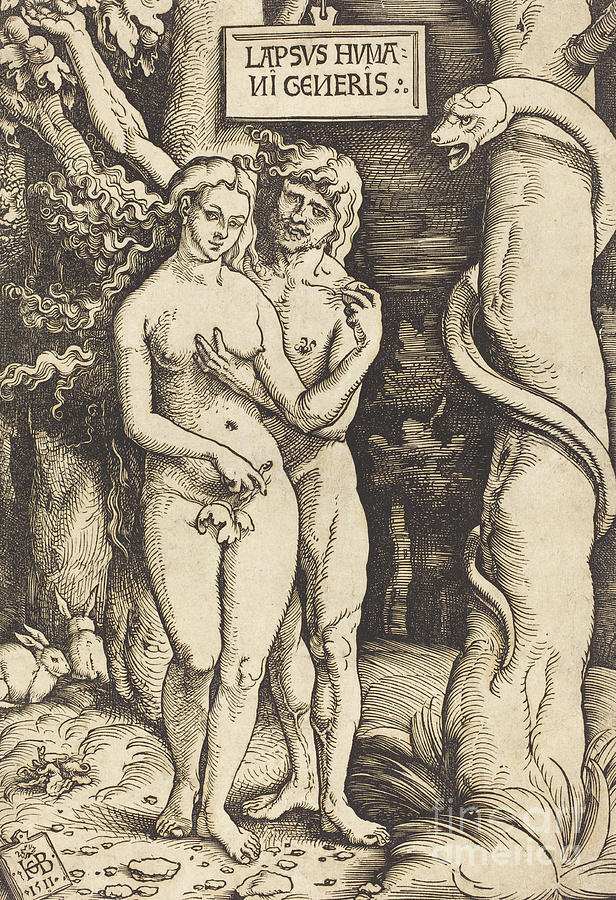 Snake Drawing - Adam and Eve by Hans Baldung Grien by Hans Baldung Grien