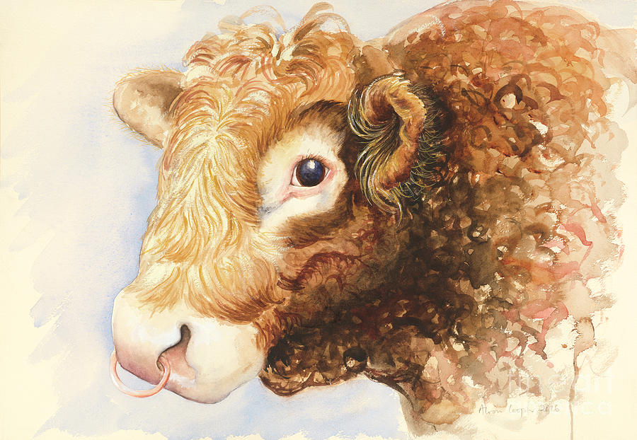 Adam The Bull, 2016 Painting by Alison Cooper Adam The Bull, 2016 Painting by Alison Cooper