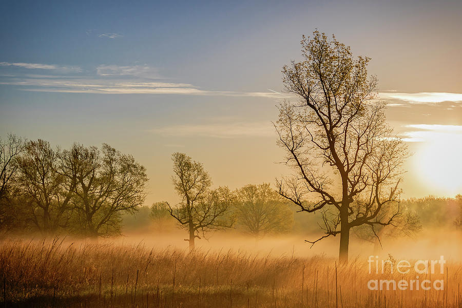 Adams Daybreak by Michael Greiner Adams Daybreak by Michael Greiner