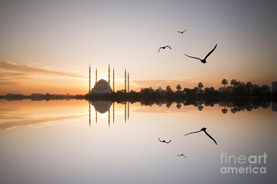 Big Photograph - Adana by Samet Guler
