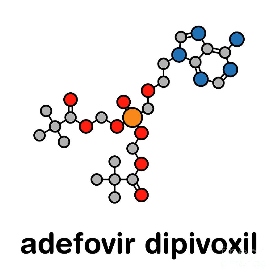 Prodrug Photograph - Adefovir Dipivoxil Hepatitis B And Hsv Drug by Molekuul/science Photo Library