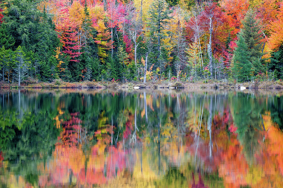 Adirondack Color Photograph by Joann Long