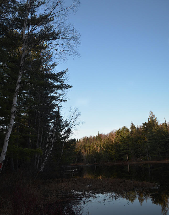 Adirondack Evening Photograph by Maggy Marsh