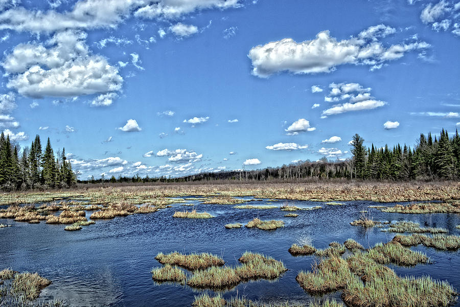 Adirondack Landscape Photograph by Maggy Marsh