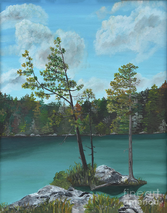 Adirondack Swimming Hole Painting by Christine Dekkers