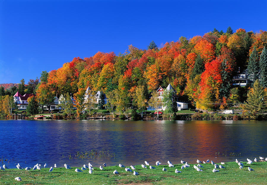 Adirondacks In Autumn, Ny Digital Art by Massimo Ripani