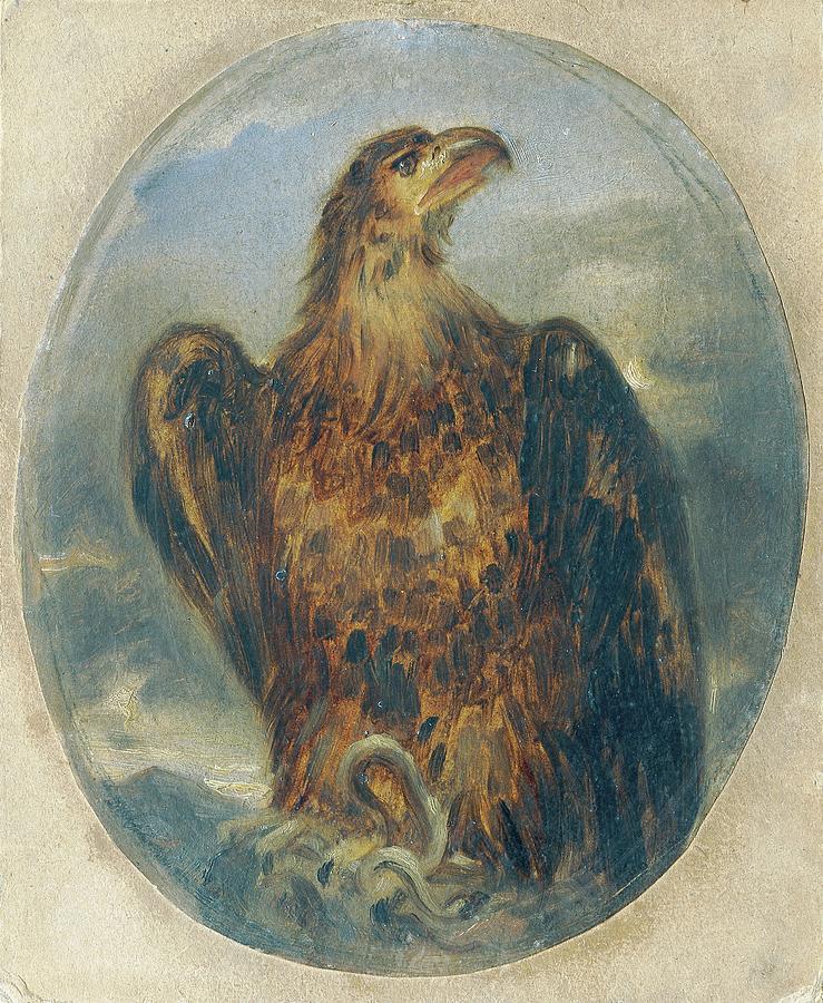 Adler by Joseph Hasslwander