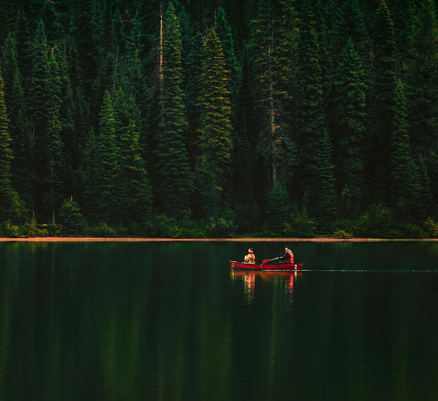 Admiring All The Greenery Photograph by May G - Fine Art America