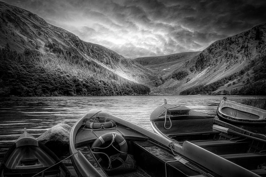 Admiring the Beauty in Black and White Photograph by Debra and Dave Vanderlaan