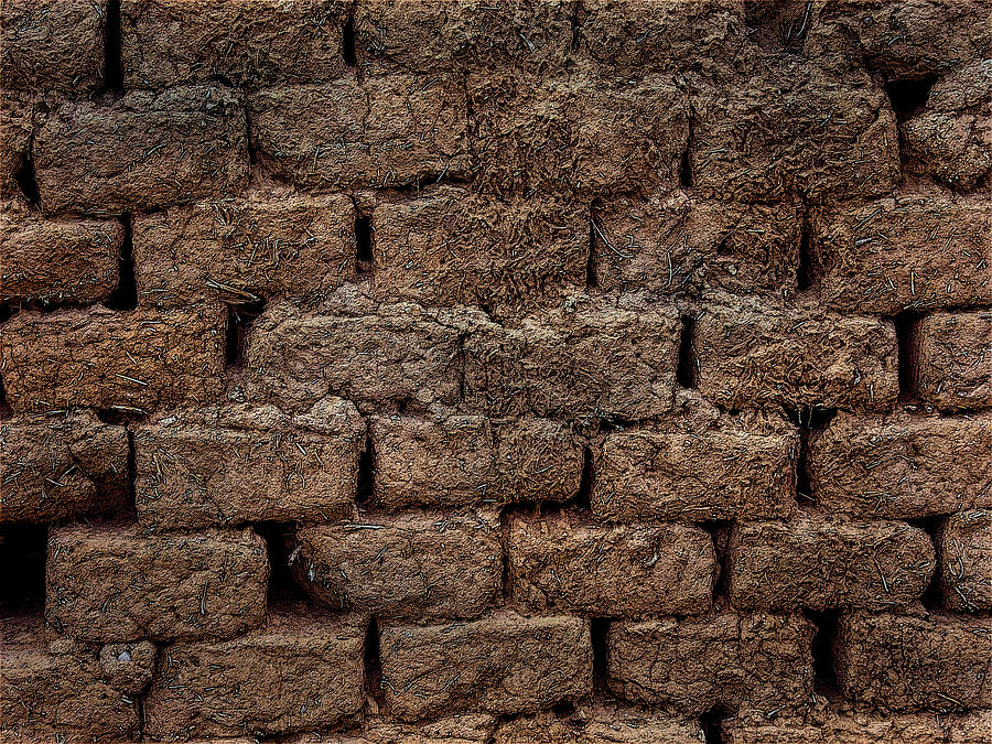 Adobe Bricks by Western Light Graphics Adobe Bricks by Western Light Graphics