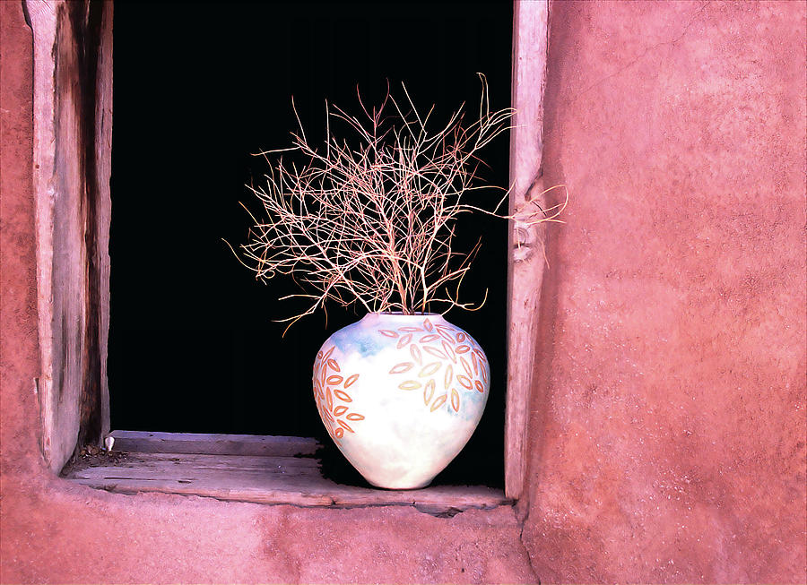 Adobe Window Pot Photograph by Bill Cain