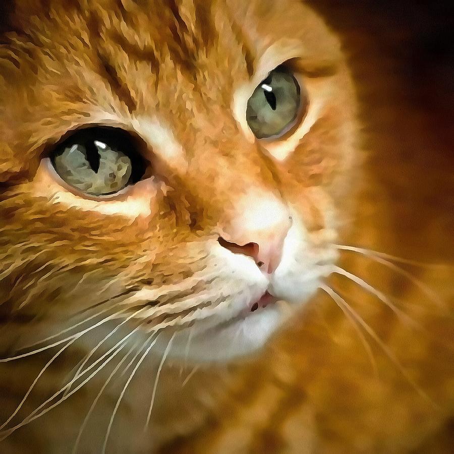 Adorable Ginger Tabby Cat Posing Painting