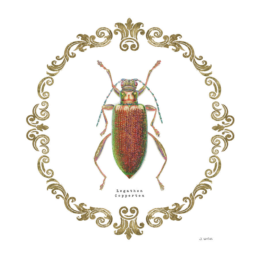 Animal Painting - Adorning Coleoptera Vi Sq by James Wiens