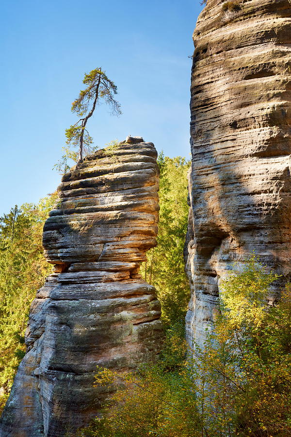 Tree Photograph - Adrspach Rock Mountains, Teplicke by Jan Wlodarczyk