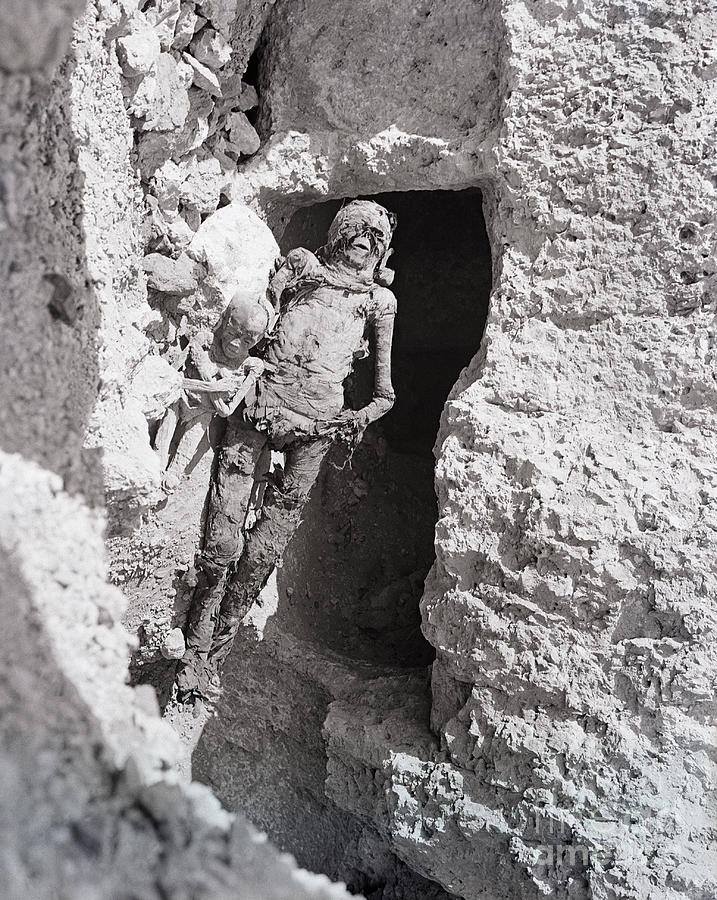 Adult And Child Mummies Photograph by Bettmann - Fine Art America