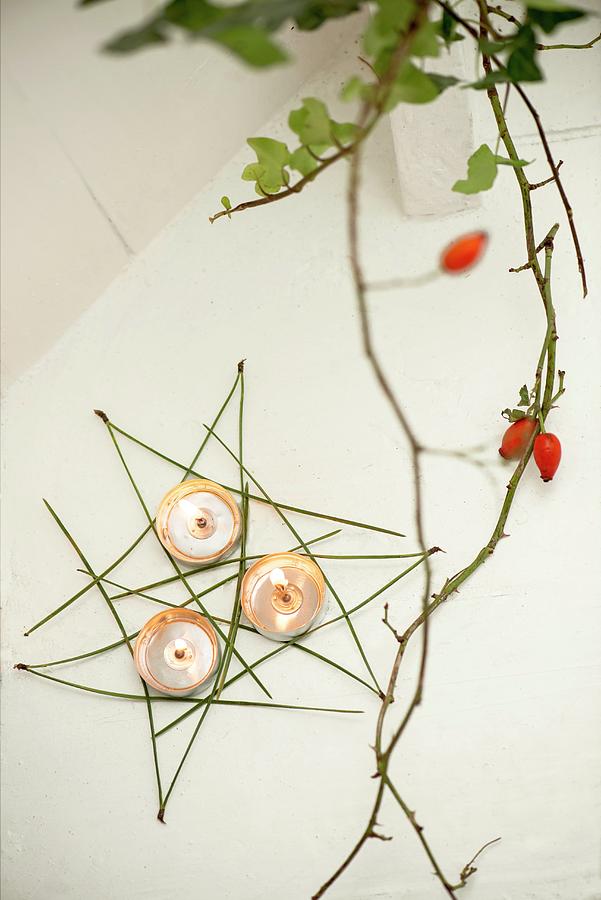 Advent Arrangement Decorated With Tealights And Rose Hips Photograph by Vierucci/eustachi