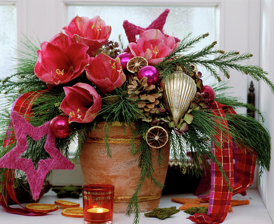 Advent Bouquet With Hippeastrum Photograph by Friedrich Strauss