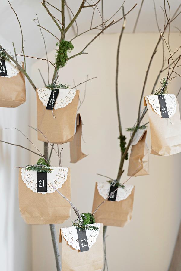 Advent Calendar Made From Paper Bags And Paper Doilies Hung From Branch Photograph by Cecilia Mller