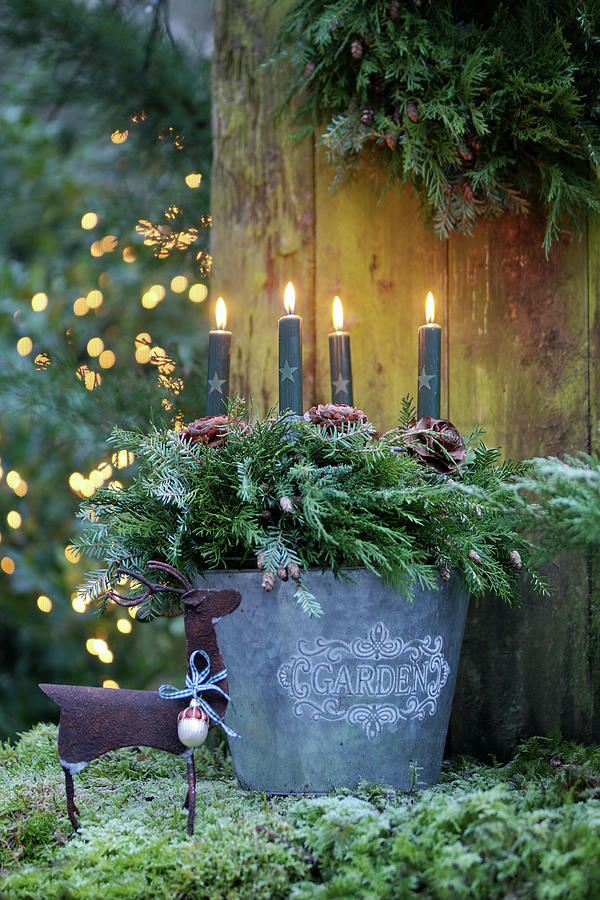 Advent Wreath Of Juniper Branches And Grey Candles In Metal Bucket ...