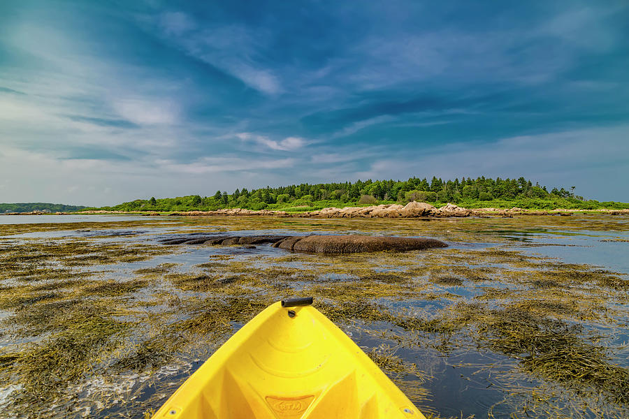 Goat Photograph - Adventurous Kayak In Maine by Betsy Knapp Goat Photograph - Adventurous Kayak In Maine by Betsy Knapp