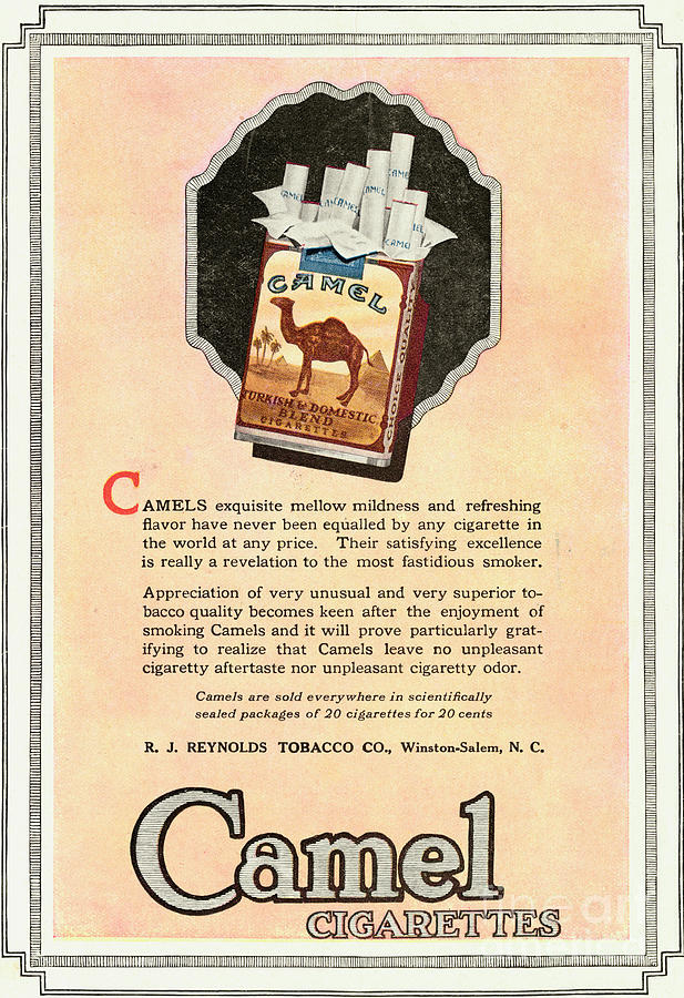 Advertisement For Camel Cigarettes Photograph by Bettmann