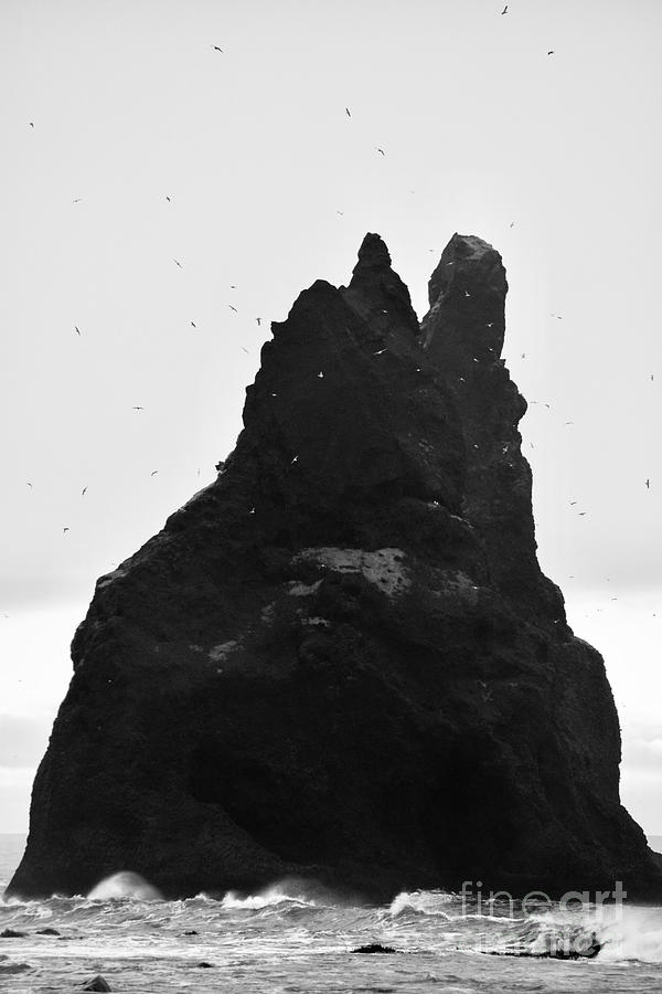 Aegirs Rock Iceland Photograph by Debra Banks