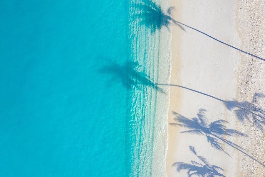Summer Photograph - Aerial Beach, Beautiful Coastline. Palm by Levente Bodo