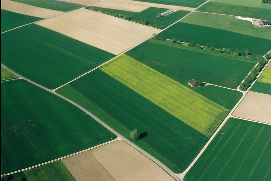 Aerial Field View Photograph by Martin Rettenbacher