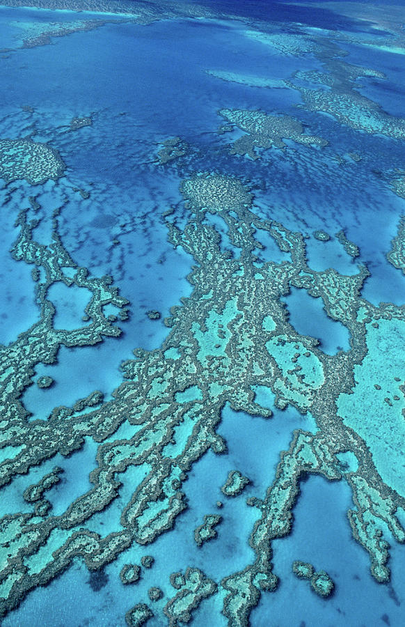 Aerial Of Hardy Reef Offshore From Photograph by Travelgame Aerial Of Hardy Reef Offshore From Photograph by Travelgame