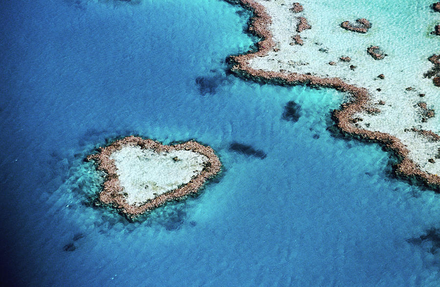 Aerial Of Heart-shaped Reef, Hardy Photograph by Holger Leue