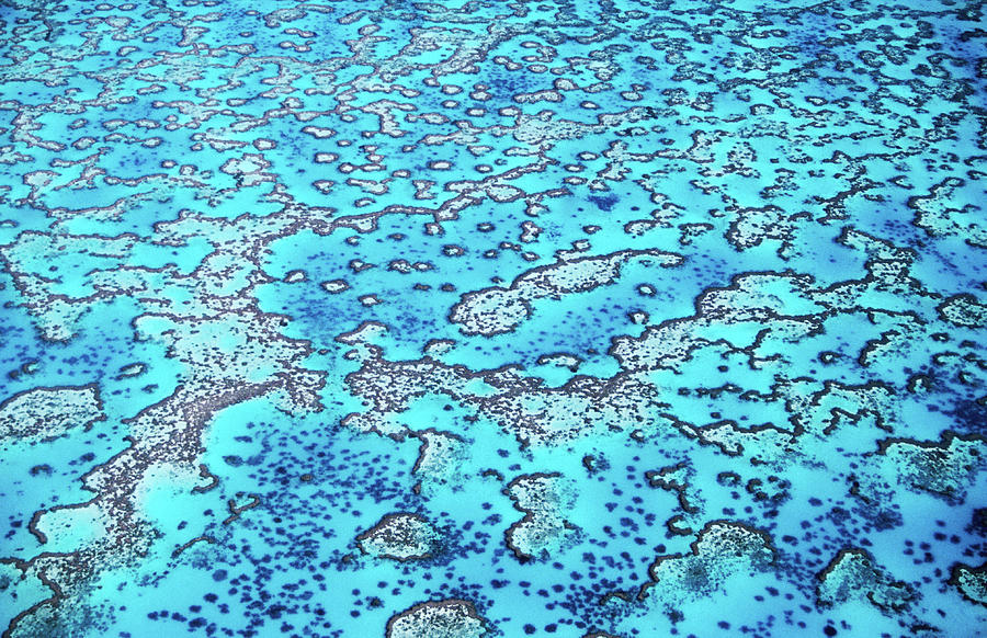 Aerial Of Reef, Heron Island Photograph by Holger Leue