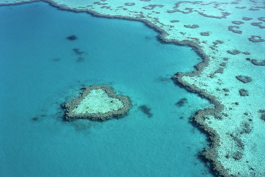 Aerial Photo, Heart Shaped Reef, Great by Holger Leue / Look-foto