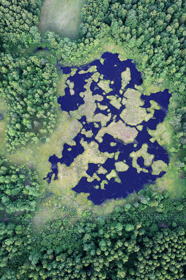 Aerial Photo Of A Swamp. Spring Photograph by Dariuszpa