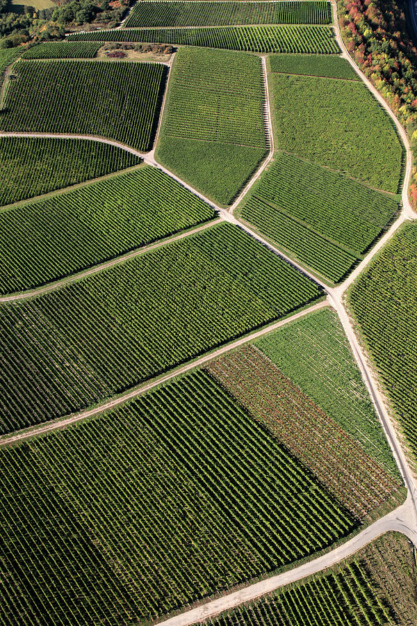 Aerial Shot Of German Vineyards Photograph by Hans-peter Merten
