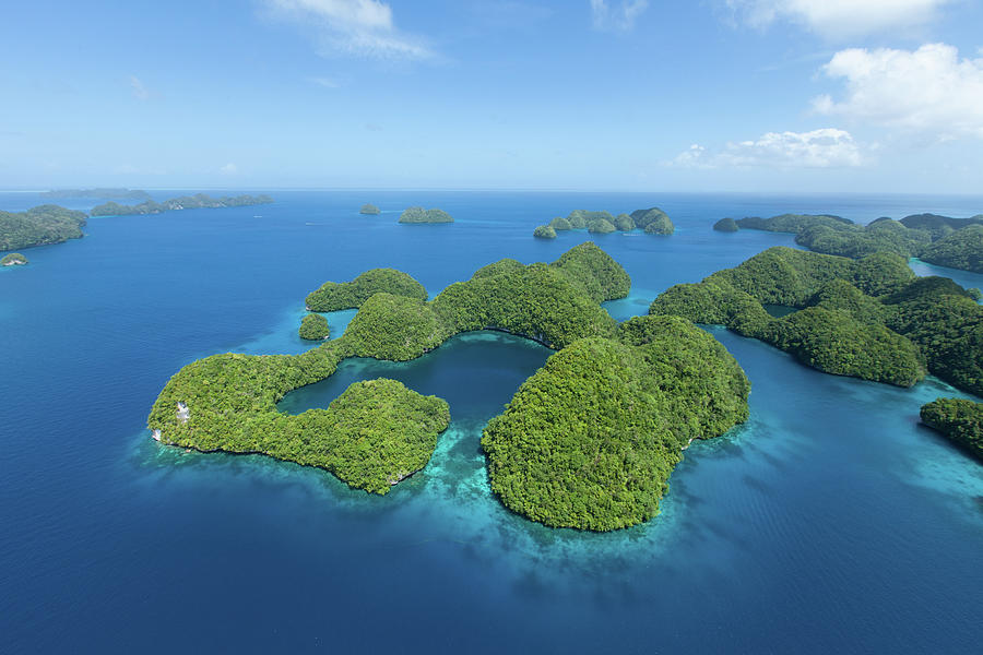 Aerial Shot Of Palau Rock Islands And Photograph by Ippei Naoi